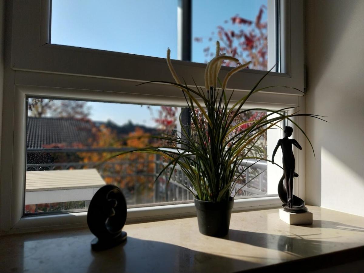 Bad Aibling City Apartment - Alpenblick Buitenkant foto
